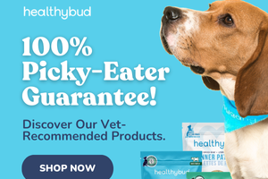 Healthy Bud dog treats